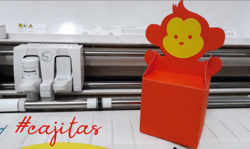 CAJITAS DESCARTABLES